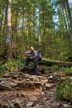 Ağır sırt çantası, tripodu ve dağlarda yürüyüş yapan profesyonel doğa fotoğrafçısı.