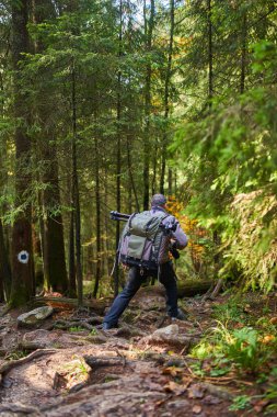 Ağır sırt çantası, tripodu ve dağlarda yürüyüş yapan profesyonel doğa fotoğrafçısı.