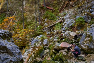 Dağları, ormanı ve mağaraları olan pitoresk bir çevrede profesyonel doğa fotoğrafçısı.
