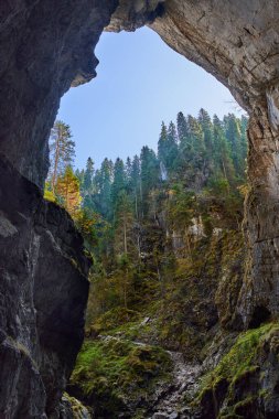 Kireçtaşı dağlarında büyük bir mağaranın girişi.