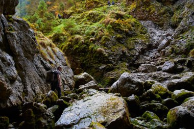 Mağarada büyük bir sırt çantası, tripod ve kamera olan profesyonel bir fotoğrafçı.