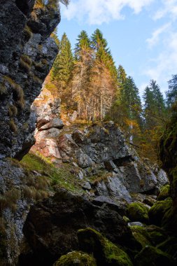 Dağın eteklerinde yosun olan kocaman kayalar.