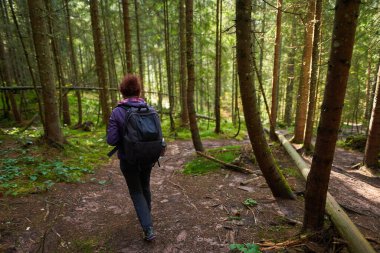 Ormanda dağdaki bir patikada kamerayla yürüyüş yapan turist kadın.