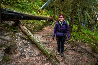 Sırt çantalı aktif bir kadın ormanda yürüyüş yapıyor.