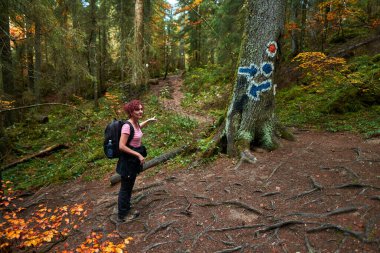 Sırt çantalı aktif bir kadın ormanda yürüyüş yapıyor.