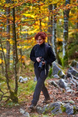 Sırt çantalı aktif bir kadın ormanda yürüyüş yapıyor.