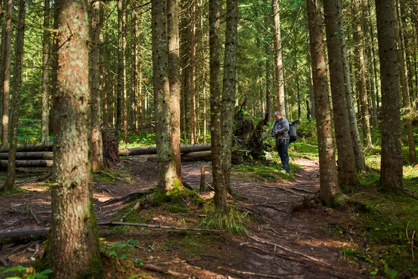 Ağır sırt çantası, tripodu ve dağlarda yürüyüş yapan profesyonel doğa fotoğrafçısı.
