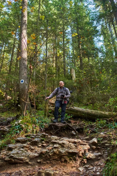 Professzionális Természetfotós Nehéz Hátizsák Állvány Kamera Túrázás Erdőben Hegyekben — Stock Fotó