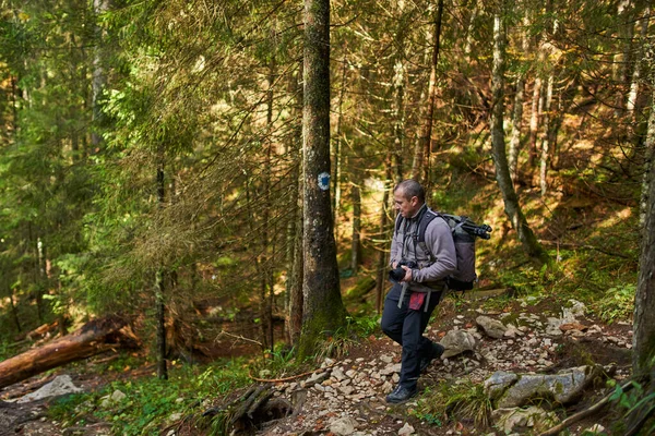 Profesionální Fotograf Přírody Těžkým Batohem Stativem Kamerou Lese Horách — Stock fotografie