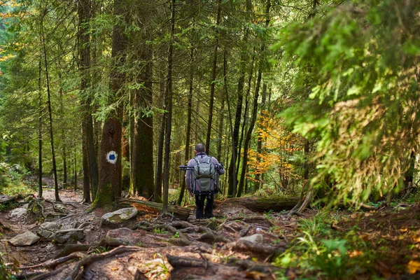 Ağır Sırt Çantası Tripodu Dağlarda Yürüyüş Yapan Profesyonel Doğa Fotoğrafçısı — Stok fotoğraf