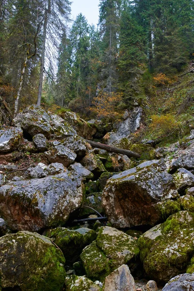 Dağın Eteklerinde Yosun Olan Kocaman Kayalar — Stok fotoğraf