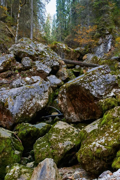 Énormes Rochers Avec Mousse Fond Montagne — Photo