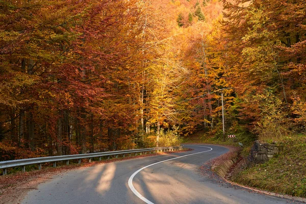 Asphaltierte Straße Durch Bunten Laubwald Herbst — Stockfoto
