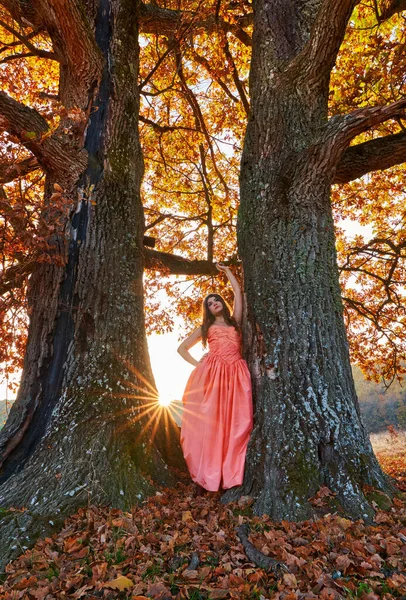 一个年轻女子在落日落日下在橡木林中的自拍美的画像 镜框里有太阳 — 图库照片