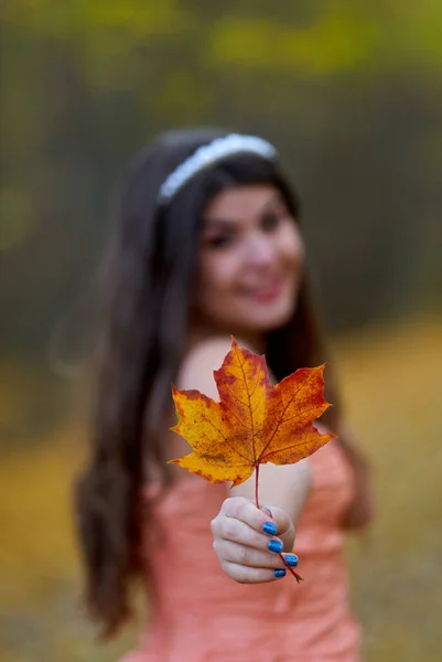 Portret Frumusețe Toamnă Unei Femei Tinere Într Pădure Stejar — Fotografie, imagine de stoc