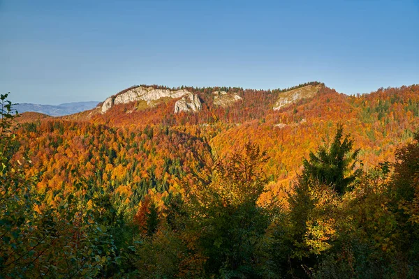 Mountains Covered Vibrant Colorful Forests Mid Autumn — Stock Photo, Image