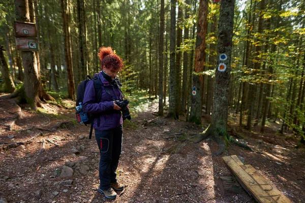 Tourist woman with camera hiking on a trail in the forest on mountain