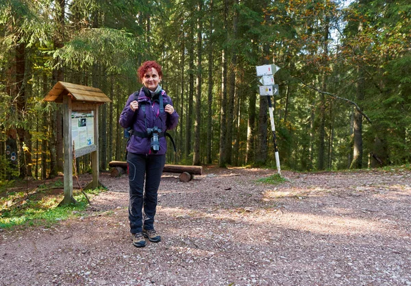 Mujer Turista Con Cámara Senderismo Sendero Bosque Montaña —  Fotos de Stock