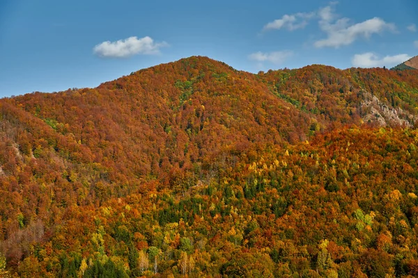 Berge Mit Lebendigen Farbenfrohen Wäldern Mitten Herbst — Stockfoto