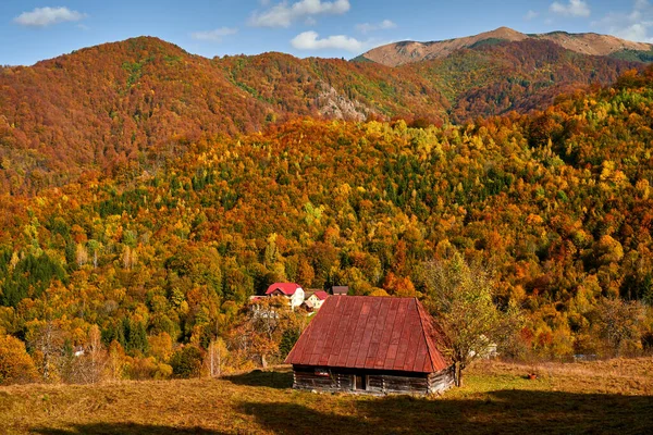 カラフルな森に覆われた山の中の納屋と風景 — ストック写真