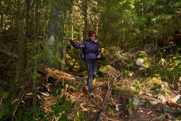 Ormanda Dağdaki Bir Patikada Kamerayla Yürüyüş Yapan Turist Kadın — Stok fotoğraf