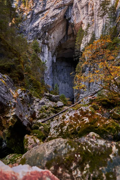 Ingång Till Stor Grotta Kalkstensbergen — Stockfoto