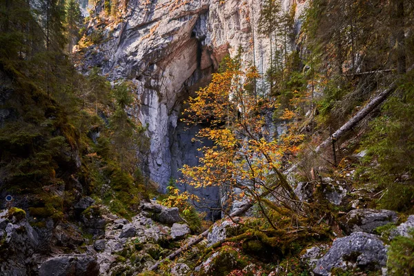 Entrée Une Grande Grotte Dans Les Montagnes Calcaires — Photo
