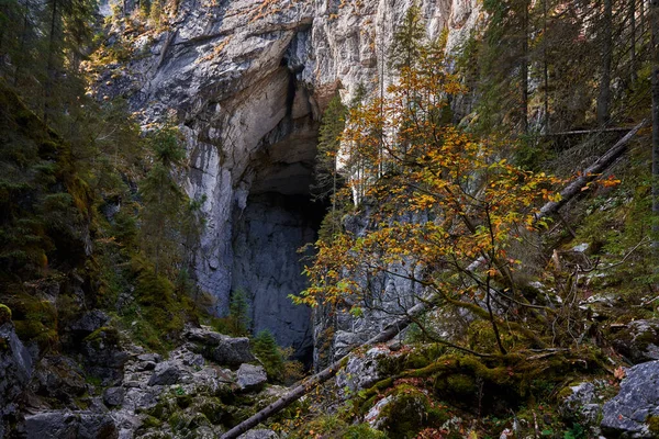 Entrée Une Grande Grotte Dans Les Montagnes Calcaires — Photo