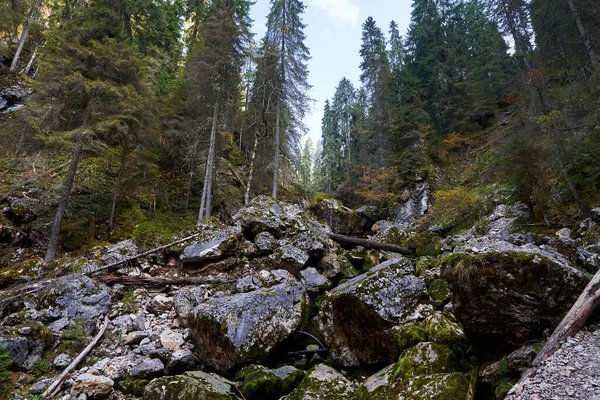 산기슭에 이끼가 바위들 — 스톡 사진