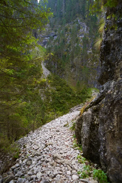 Berg Med Rasbrant Och Vandringsled — Stockfoto