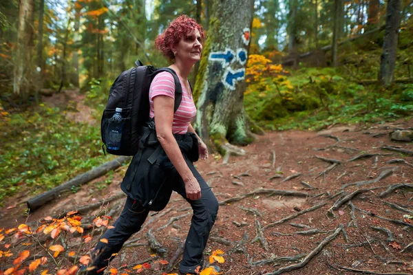 Aktivní Žena Batohem Turistika Stezce Lesem — Stock fotografie