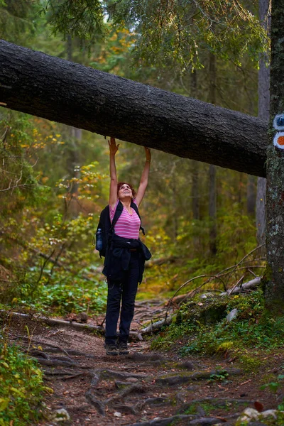 Actieve Vrouw Met Rugzak Wandelen Een Pad Door Het Bos — Stockfoto