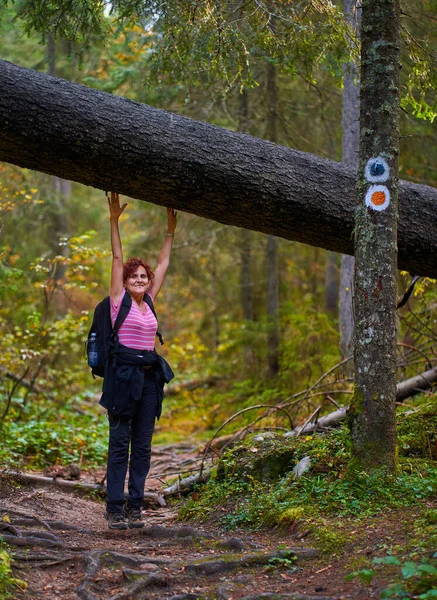 Aktivní Žena Batohem Turistika Stezce Lesem — Stock fotografie