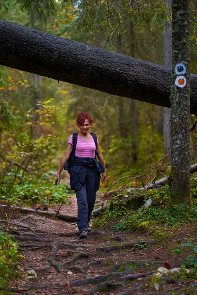 Mulher Ativa Com Mochila Caminhando Uma Trilha Pela Floresta — Fotografia de Stock