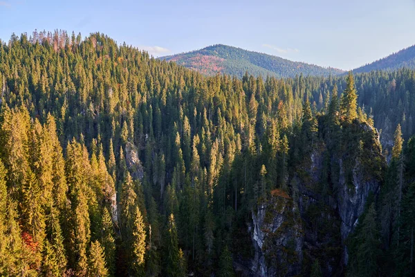 Montañas Con Enormes Acantilados Bosques Pinos Otoño —  Fotos de Stock