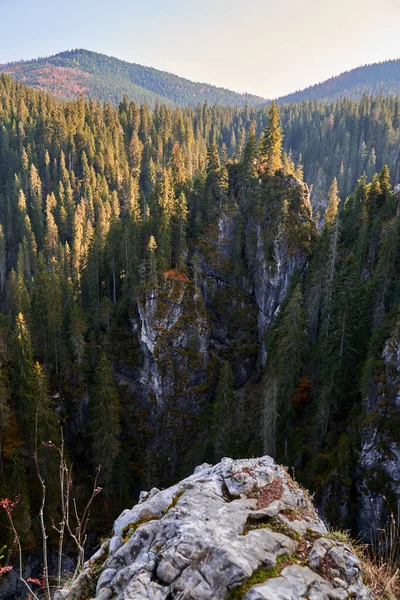 Montagnes Avec Énormes Falaises Forêts Pins Automne — Photo