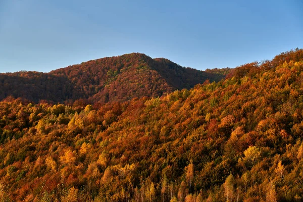 Montañas Cubiertas Bosques Vibrantes Coloridos Mediados Otoño — Foto de Stock