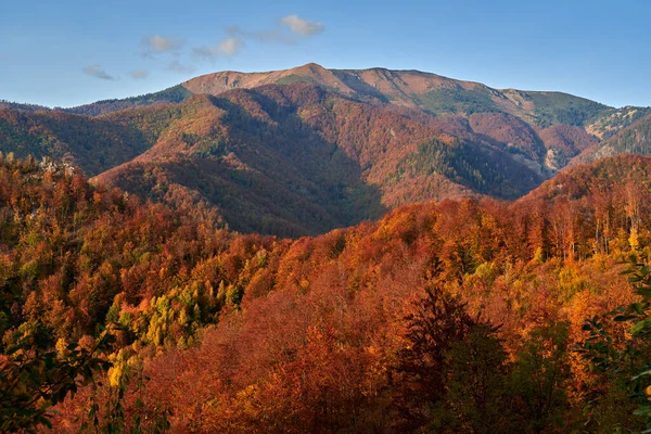 Montañas Cubiertas Bosques Vibrantes Coloridos Mediados Otoño —  Fotos de Stock