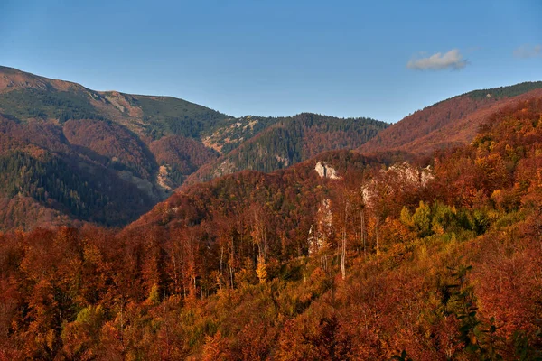 Berge Mit Lebendigen Farbenfrohen Wäldern Mitten Herbst — Stockfoto