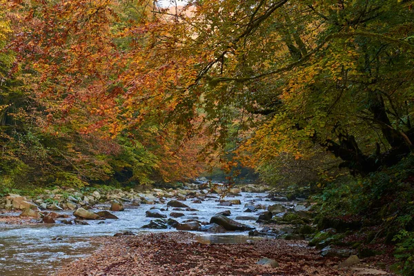 Vibrant Landscape River Slowly Flowing Colorful Forest Mid Autumn — Stock Photo, Image