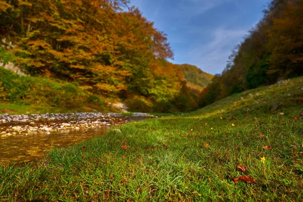 Vibrant Landscape River Slowly Flowing Colorful Forest Mid Autumn — Stock Photo, Image