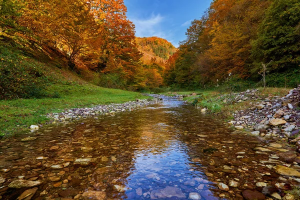 Живой Пейзаж Реки Медленно Протекающей Через Красочный Лес Середине Осени — стоковое фото