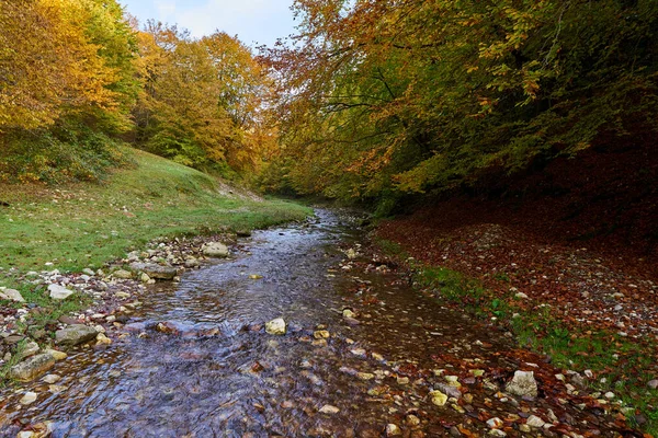 Paisaje Vibrante Río Que Fluye Lentamente Través Colorido Bosque Mediados —  Fotos de Stock