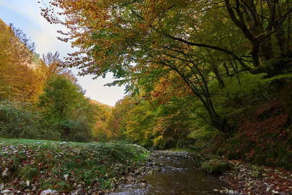 秋天的中秋 一条河在五彩斑斓的森林中缓缓流淌 景色明媚动人 — 图库照片