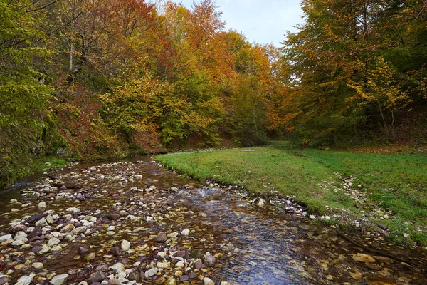 Яскравий Пейзаж Річки Повільно Протікає Через Барвистий Ліс Середині Осені — стокове фото