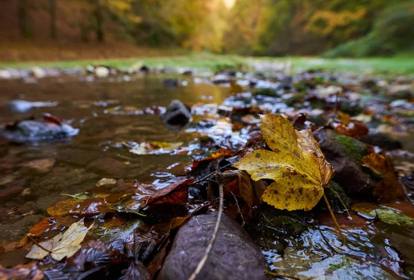 Vibrerande Landskap Flod Som Sakta Rinner Genom Färgglad Skog Mitten — Stockfoto