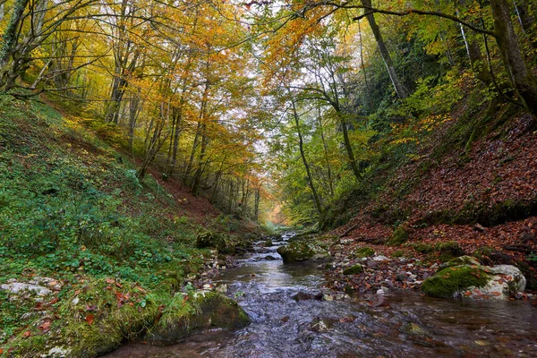 Paisaje Vibrante Río Que Fluye Lentamente Través Colorido Bosque Mediados —  Fotos de Stock