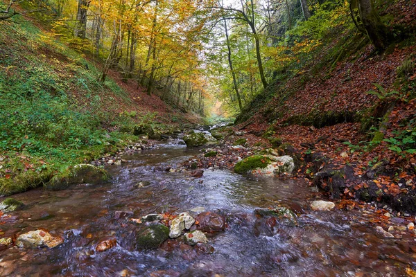 Paisaje Vibrante Río Que Fluye Lentamente Través Colorido Bosque Mediados — Foto de Stock