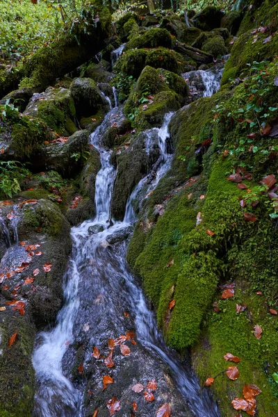 Živé Krajina Řeky Pomalu Teče Barevným Lesem Polovině Podzimu — Stock fotografie