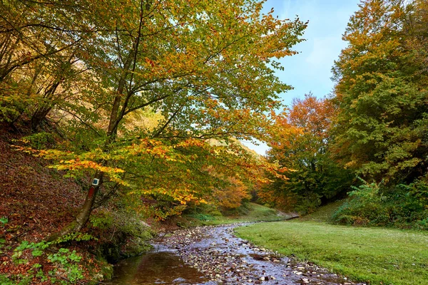 Lebendige Landschaft Eines Flusses Der Mitten Herbst Langsam Durch Einen Stockfoto